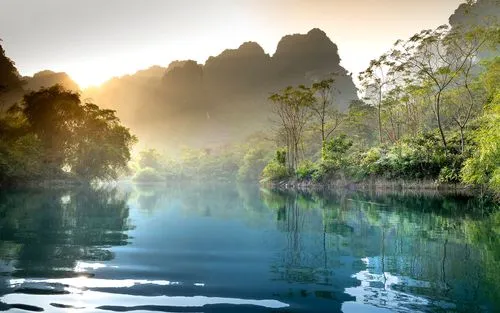 高性能绿色可靠性